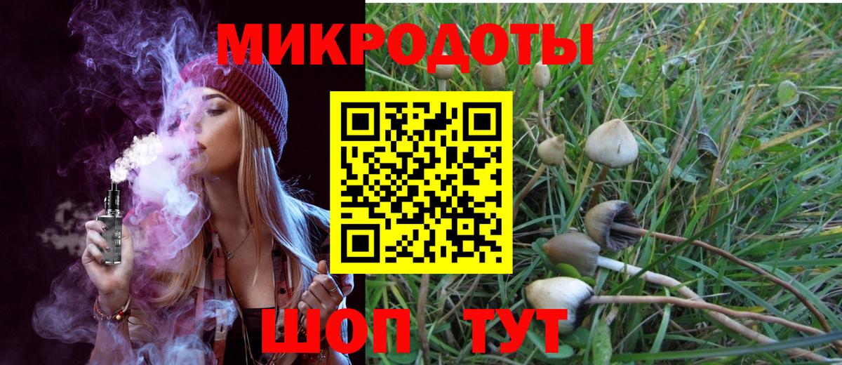 Псилоцибиновые грибы мицелий  Вход с VPN  цены наркотик  Качканар 