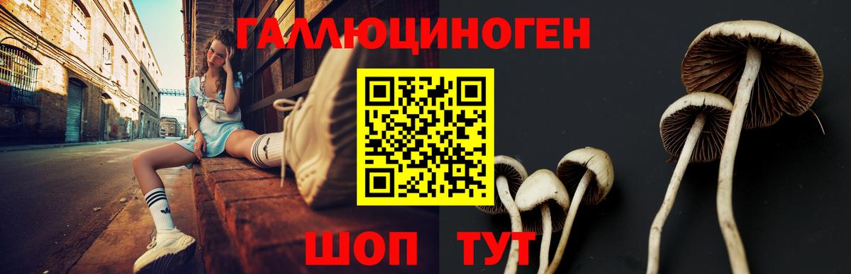 Галлюциногенные грибы Psilocybine cubensis Качканар